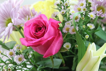 bouquet of pink roses
