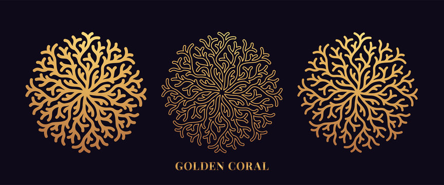 Golden reef coral by round shape. Third set of gold coralline silhouettes