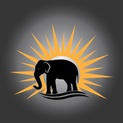 Elephant Logo Template Vector Illustration design