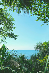 Fototapeta premium Nature frame of exotic green leaves and tropical trees, sea beach background. Bright tropical background with sky and sea. vacation, travel, summer concept