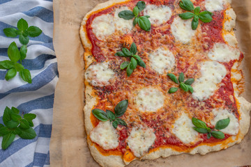 Home made pizza topped with tomatoes, mozzarella, spices and fresh basil