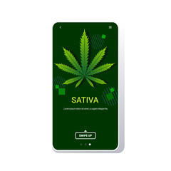 cannabis sativa marijuana leaf drug consumption concept smartphone screen online mobile app flat copy space vector illustration