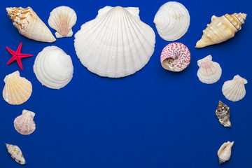 Summer holiday poster with sea shells and starfish on blue background, copy space. Top view travel...