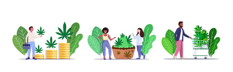 set people eating cannabis cookie buying medical marijuana hemp plants growing business drug consumption concepts collection full length horizontal vector illustration - obrazy, fototapety, plakaty