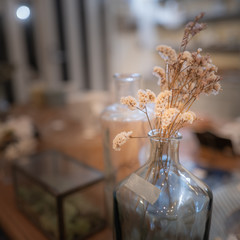 ドライフラワー