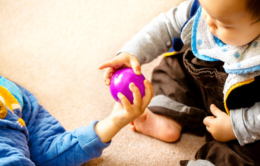 子供2人が仲良く紫のボールを持って遊ぶ