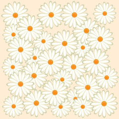 Chamomile flowers vector design. Daisy flowers pattern for background.