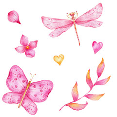 Pink butterfly and dragonfly, pink and yellow hearts, pink flowers; watercolor hand draw illustration; with white isolated background