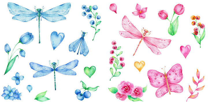 Big set of pink and blue dragonflies and butterfly, hearts, flowers and berries; watercolor hand draw illustration; can be used for cards and invitations; with white isolated background
