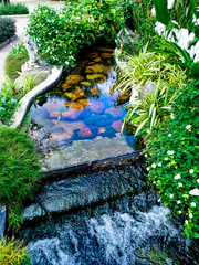 Beautiful garden with waterfalls and green trees.
