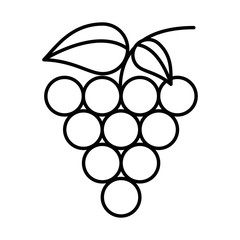 grapes fresh fruits isolated icon