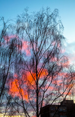 Red cklouds in the sky