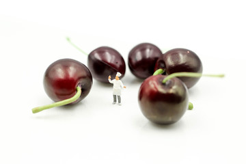 Miniature people : chef with cherrys,cherry month concept.