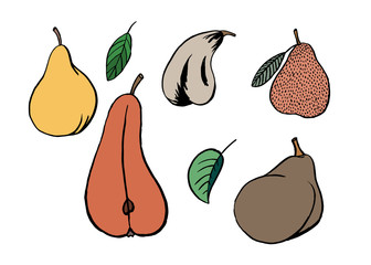 Pear fruit icons set in hand drawn style. Vector illustration