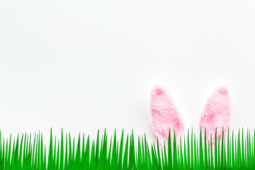 Easter bunny's ears behind grass on white background top-down copy space