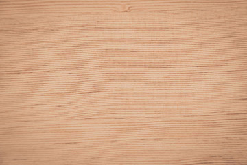 Naklejka premium Close up wood texture