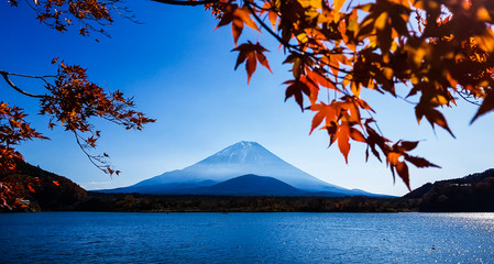 Autumn at Shojiko lake