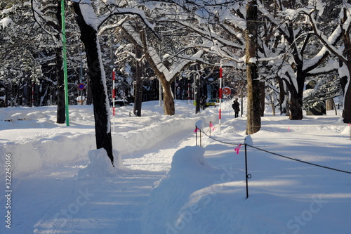 雪に覆われた森 Wall Mural Wallpaper Murals Wallsheaven Naoya T 雪に覆われた森 Wall Mural Wallpaper Murals Wallsheaven Naoya T