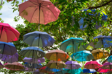 Colorful umbrellas decoration hang on the tree with sky
