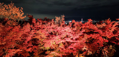 Autumn lighting show
