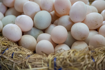 Fresh Eggs are in the basket