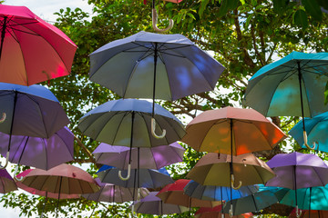 Colorful umbrellas decoration hang on the tree with sky