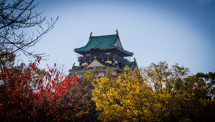 Naklejka premium Osaka castle in autumn