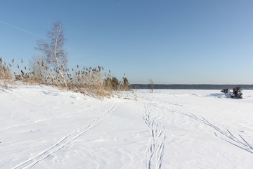 Fototapeta na wymiar Snowy Island Hrenoviy, Ob Reservoir, Novosibirsk, Russia