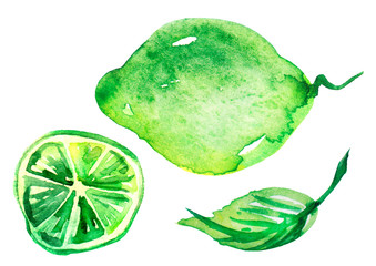 Set - Citrus fruit, slices of lemon, orange, lime, grapefruit watercolor. Slices of orange, lemon, lime, watercolor. On an isolated white background. Use to design and decoration, cosmetics, posters.