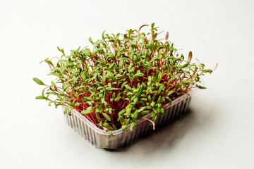 Microgreen on a white background. Healthy nutrition, eating right, diet, super food concept.