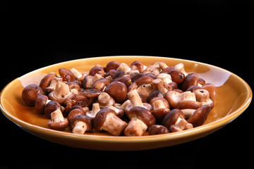 mushroom on plate isolated