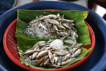 Small Fresh fish in the markets.From Thailand