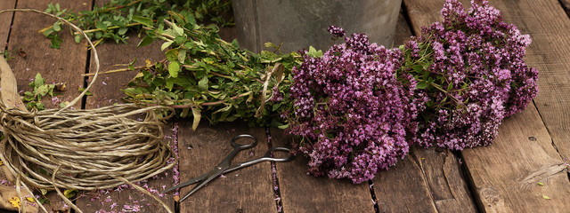 Preparation for drying medicinal herbs - oregano and Hypericum. Alternative medicine is good for...