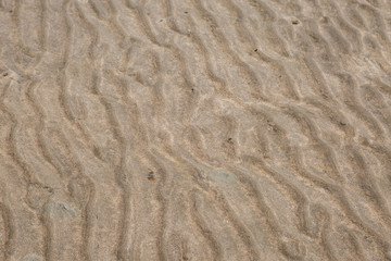 Fototapeta na wymiar Yellow wave sand texture on the beach