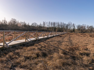 wooden footbridge
