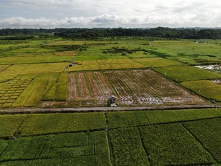 Kuching, Sarawak / Malaysia - February 11, 2020:  A top down aerial view of a paddy field with farmers at work. Located in the Skuduk Village, Sarawak, Malaysia.General scenery of a paddy field, huts, © Aerial Drone Master