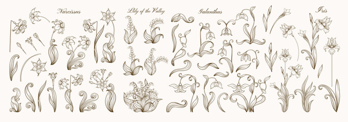 Fototapeta na wymiar Set of spring flowers: iris, lily of the valley, snowdrop, daffodil. In art nouveau style, vintage, old, retro style. Outline vector illustration.