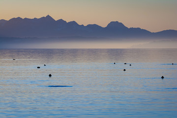 Obraz premium Abend am See und Berge im Nebel - Chiemsee im Winter