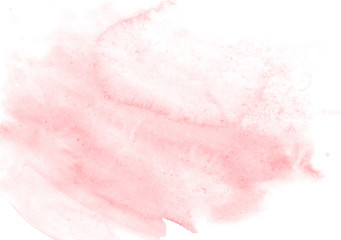 Obraz na płótnie Canvas pink rose petals on white background