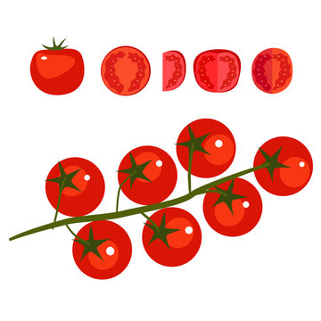 Collection of fresh cut red tomatoes vector illustrations. Half  tomato, slice of tomato, cherry tomato. Isolated on white