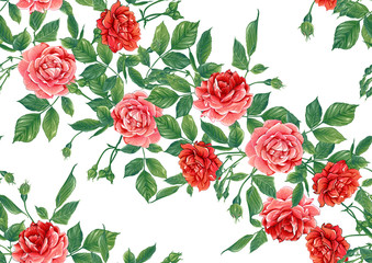 Seamless pattern with red roses flowers. Colored vector illustration. Isolated on white background.
