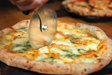 Cook cuts pizza with roller knife. Chef cut roller knife freshly baked pizza. Cutting delicious...
