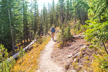 Hike in the forest