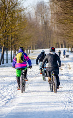 Cyclists ride on the bike path in the city Park