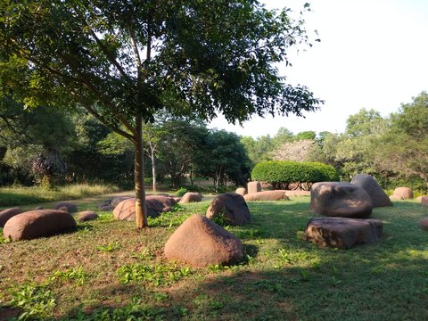 Stones in forest