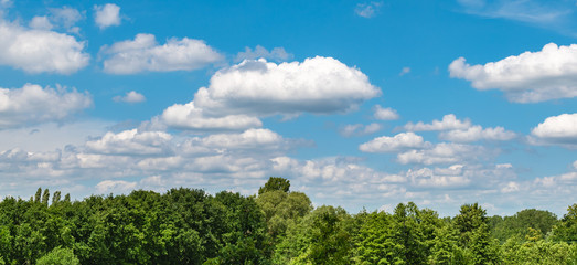 Blue sky with white clouds over green deciduous trees in Belgium.