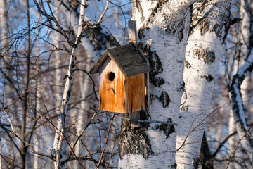 House for the birds on a birch. Wooden birdhouse mounted on a tree
