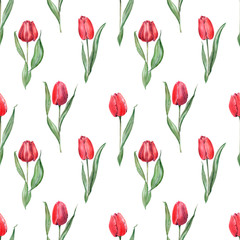 Watercolor seamless pattern with elegant red tulips. Buds, flowers and leaves