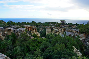 Fototapeta na wymiar Cypriot landscape at sea and cliffs