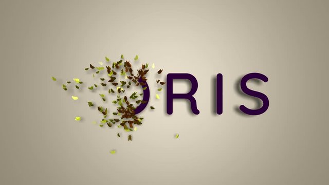 Name is Doris. The female name on a light background disappears flying in butterflies. Minimal graphics. 4k